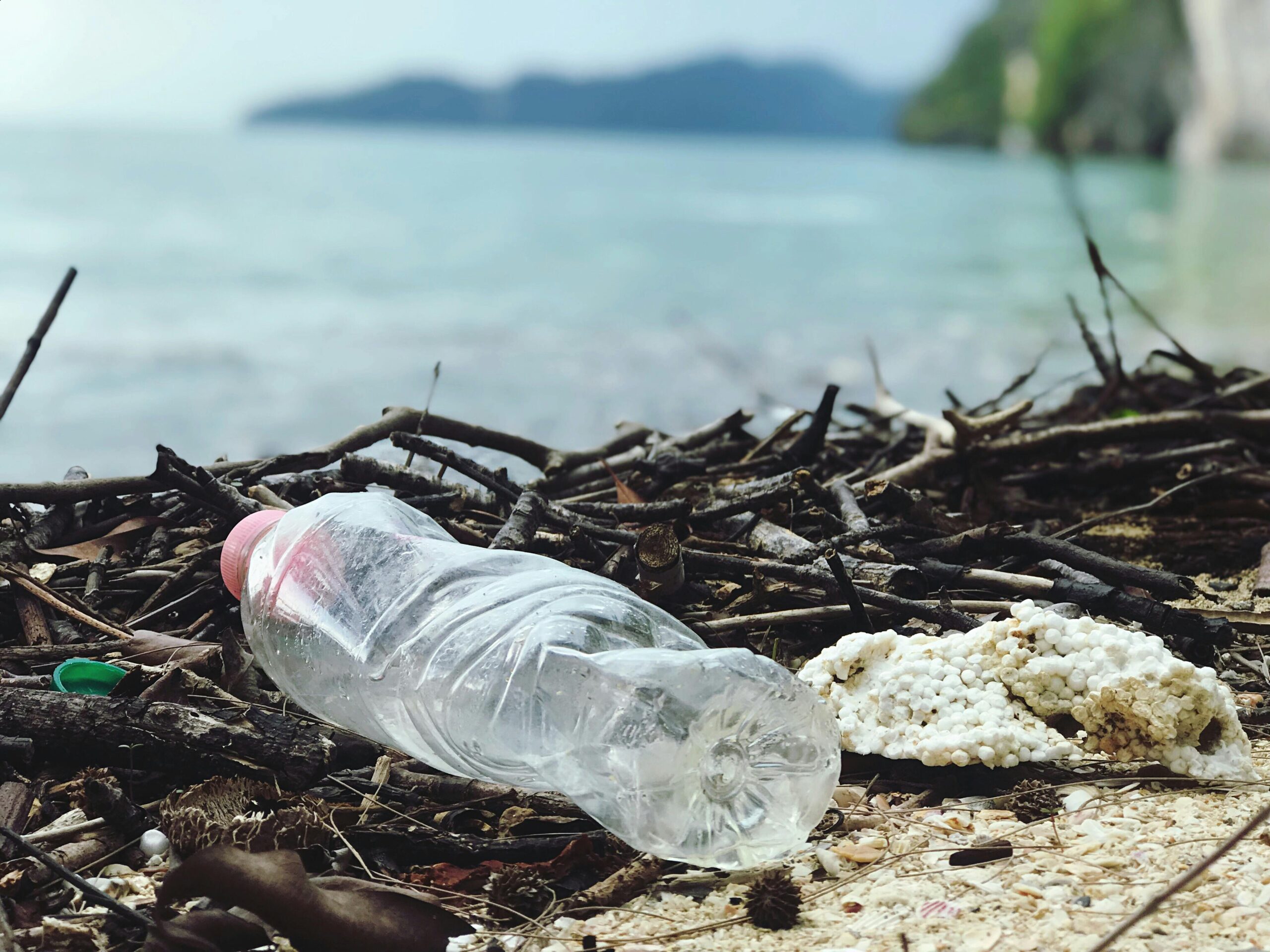 Motion: Great Lakes Coastal Cleanup