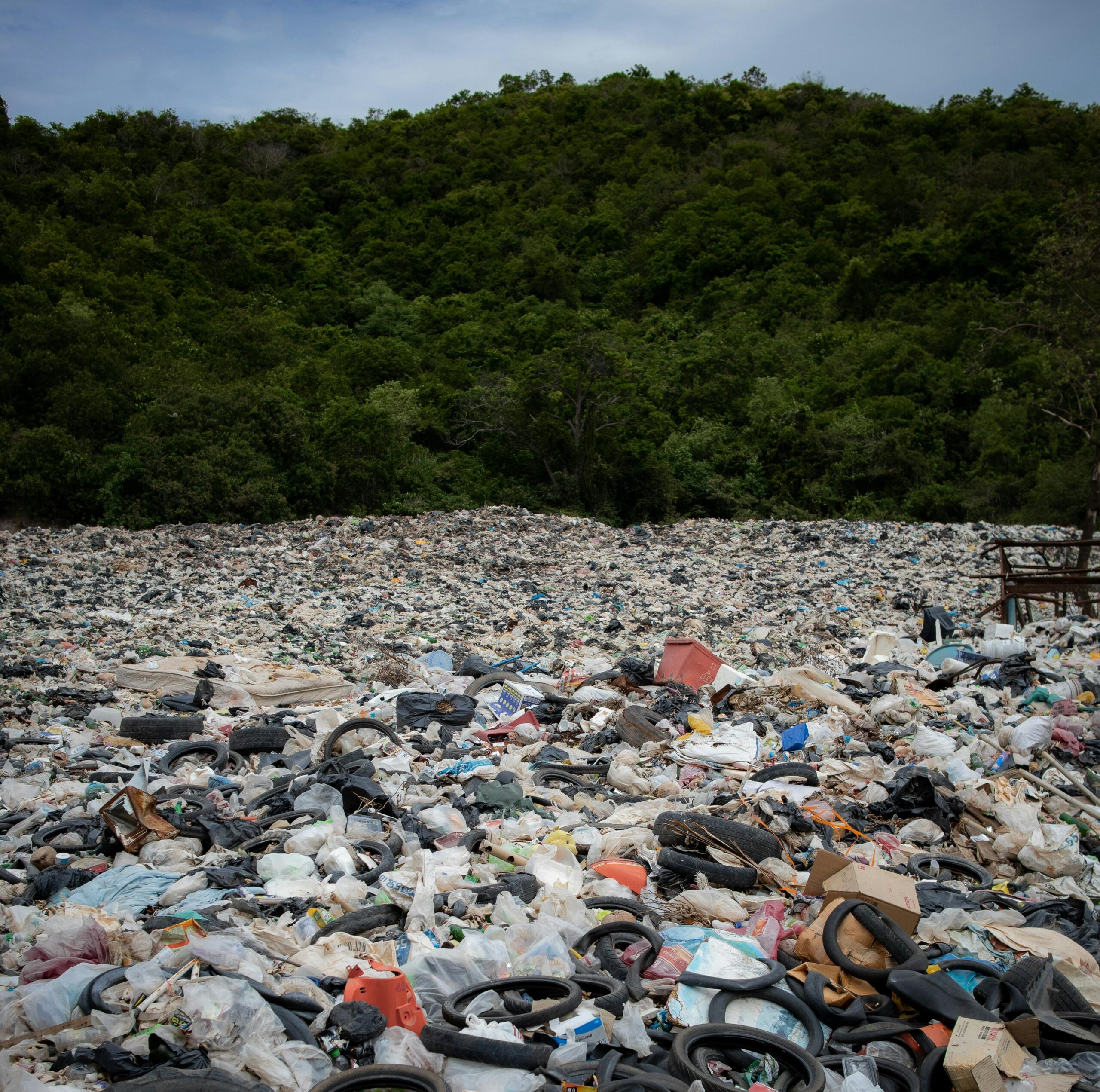 Shayne and I had landfills on our bingo cards… did you?